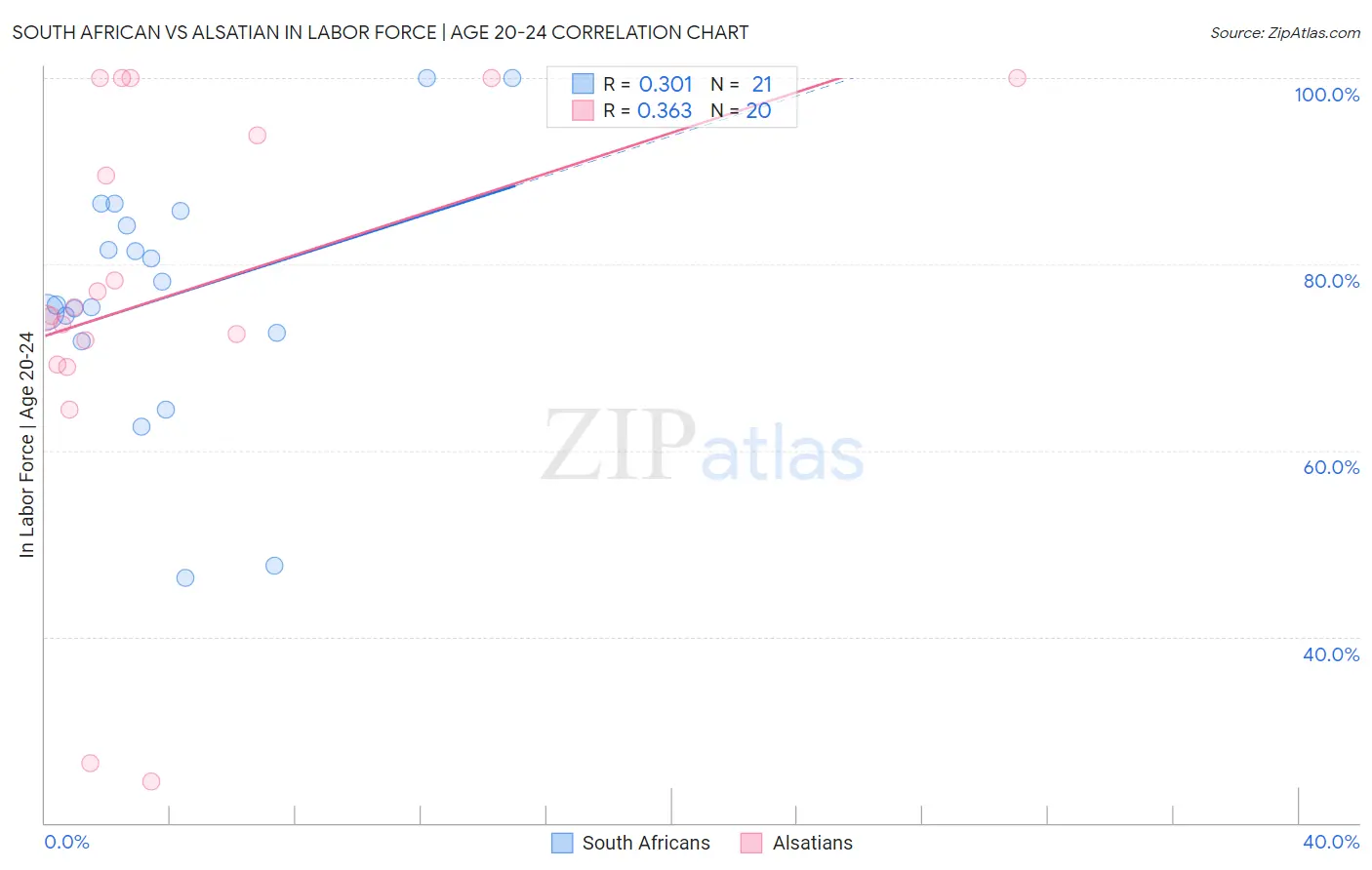 South African vs Alsatian In Labor Force | Age 20-24