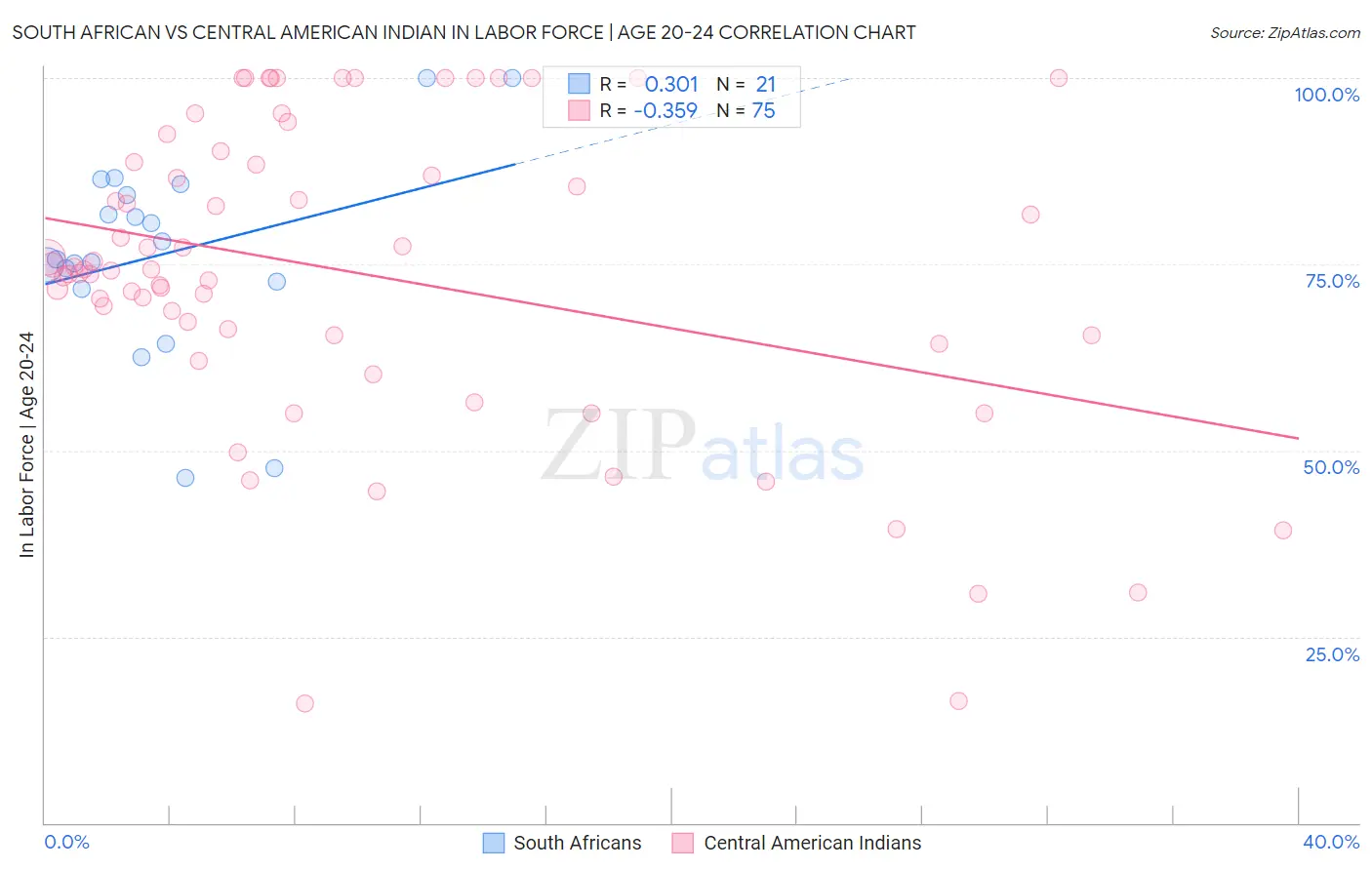 South African vs Central American Indian In Labor Force | Age 20-24