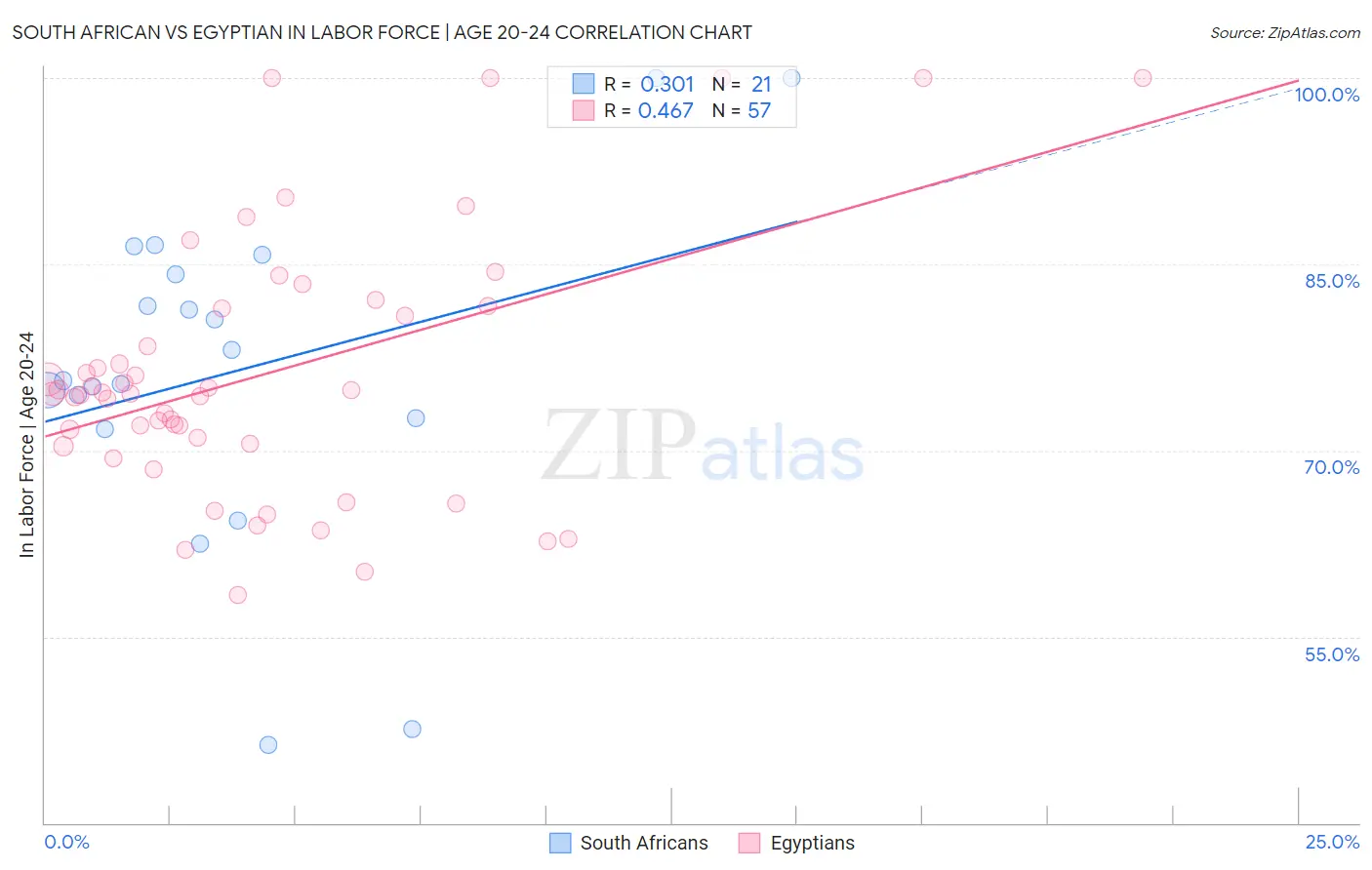 South African vs Egyptian In Labor Force | Age 20-24