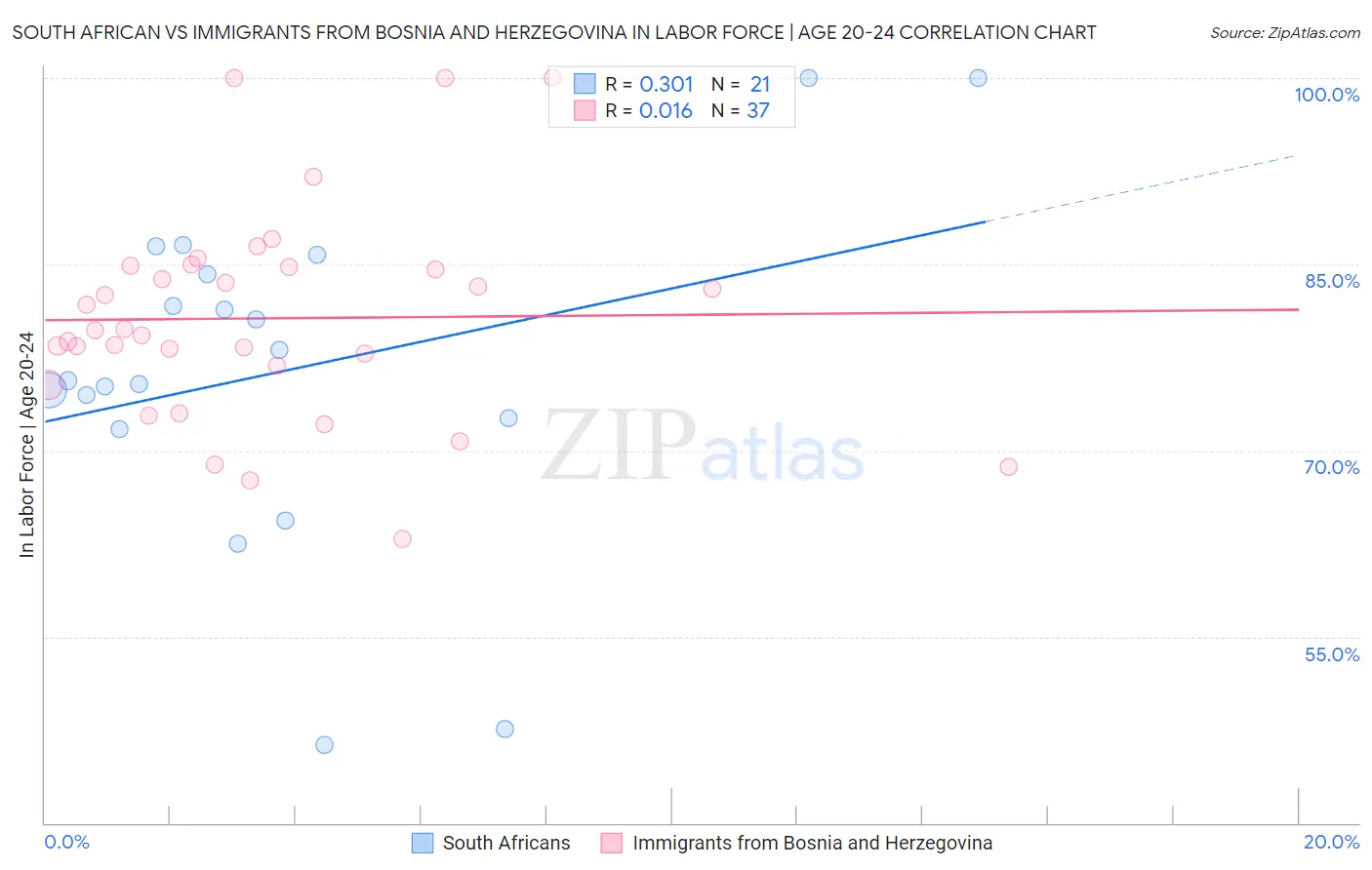 South African vs Immigrants from Bosnia and Herzegovina In Labor Force | Age 20-24