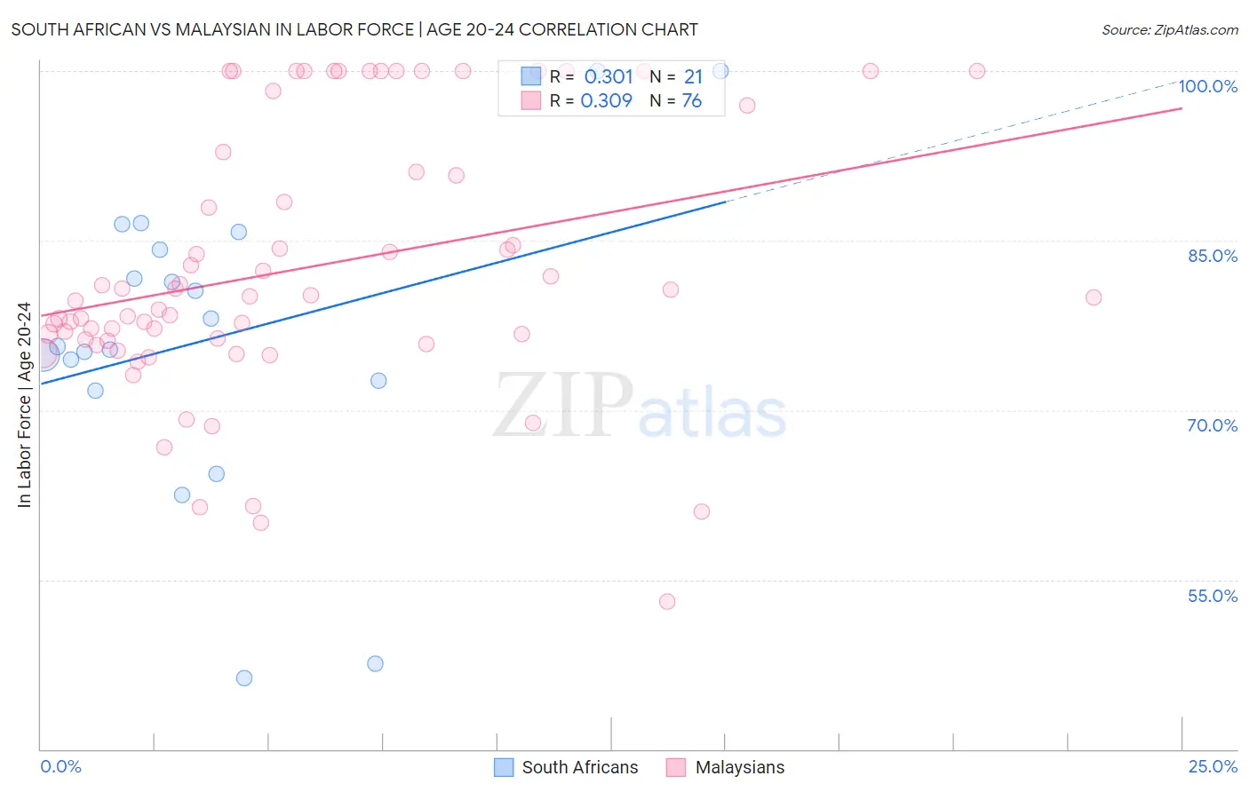 South African vs Malaysian In Labor Force | Age 20-24