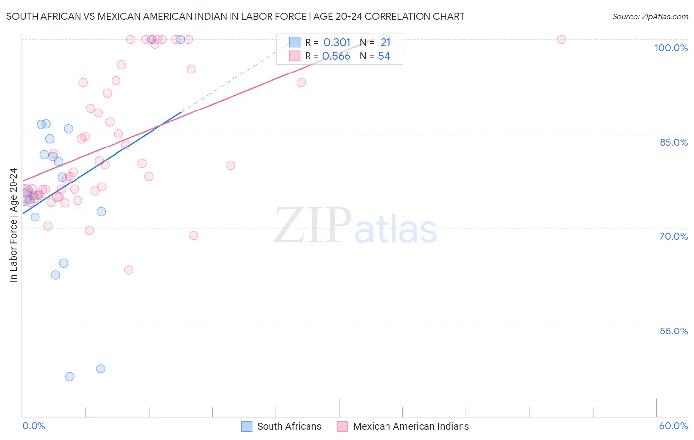 South African vs Mexican American Indian In Labor Force | Age 20-24