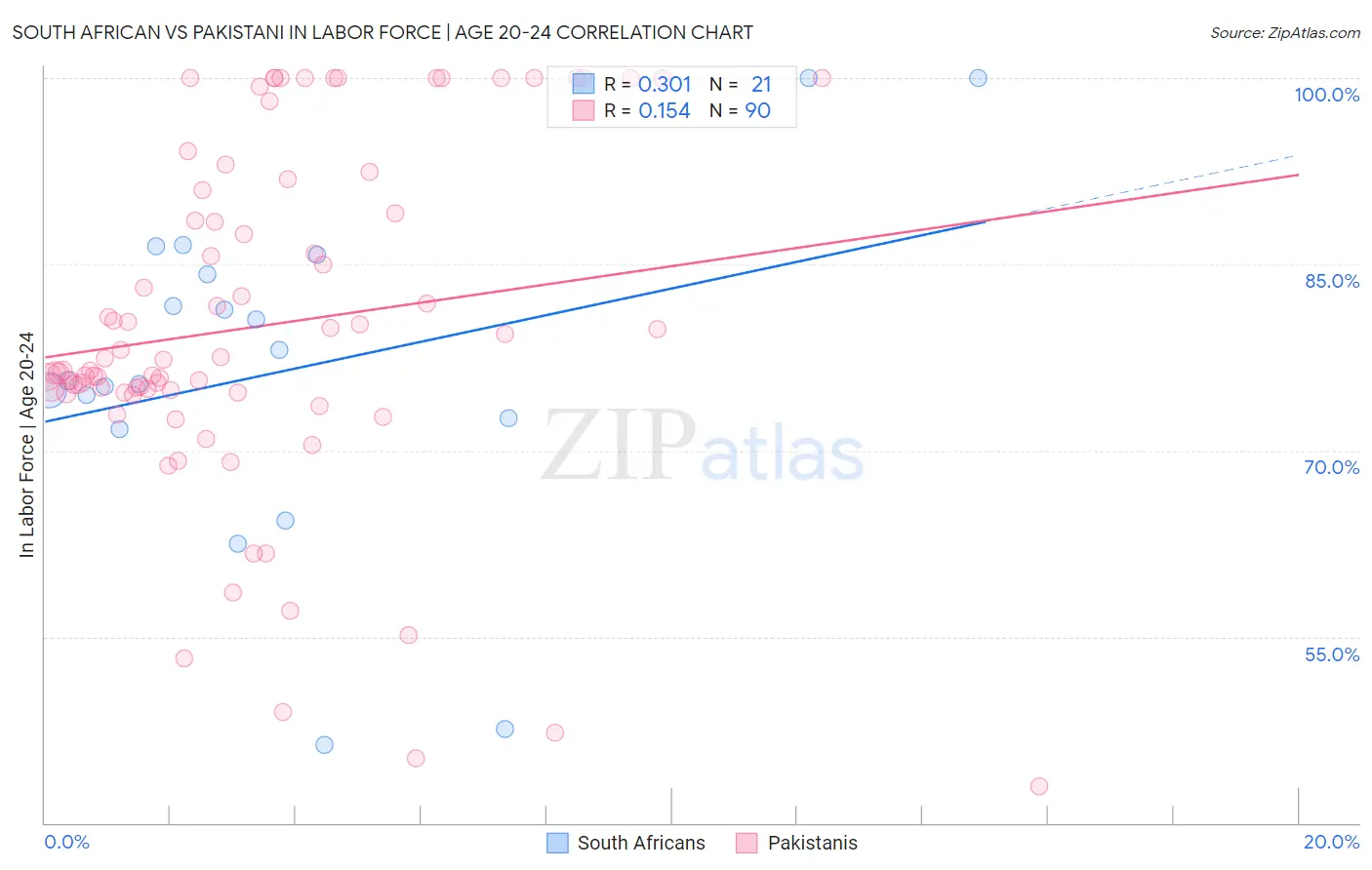 South African vs Pakistani In Labor Force | Age 20-24