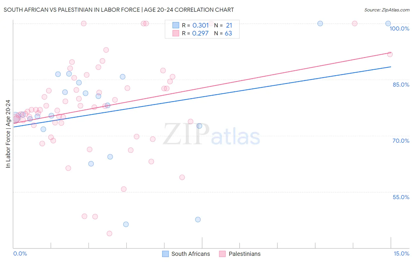 South African vs Palestinian In Labor Force | Age 20-24