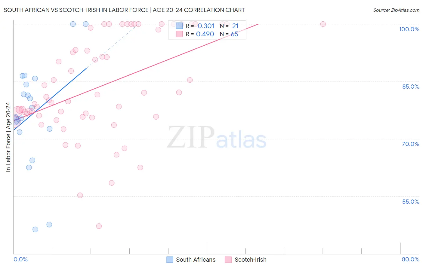 South African vs Scotch-Irish In Labor Force | Age 20-24