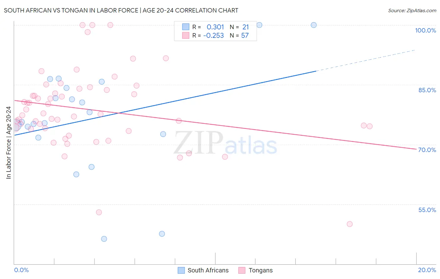 South African vs Tongan In Labor Force | Age 20-24