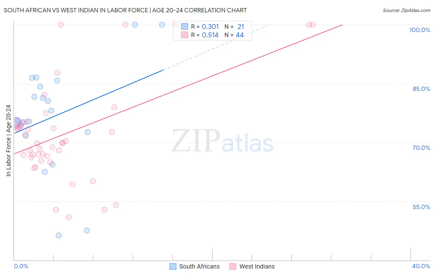 South African vs West Indian In Labor Force | Age 20-24