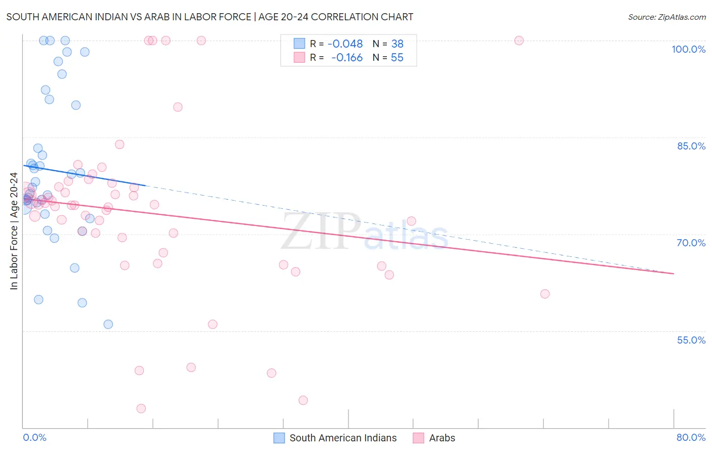 South American Indian vs Arab In Labor Force | Age 20-24