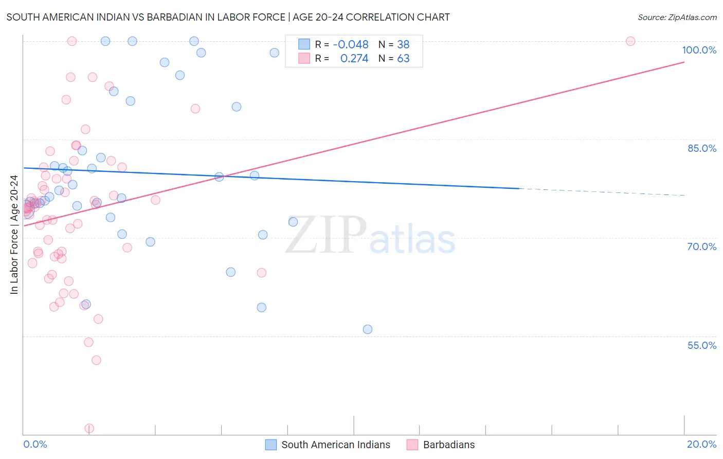 South American Indian vs Barbadian In Labor Force | Age 20-24