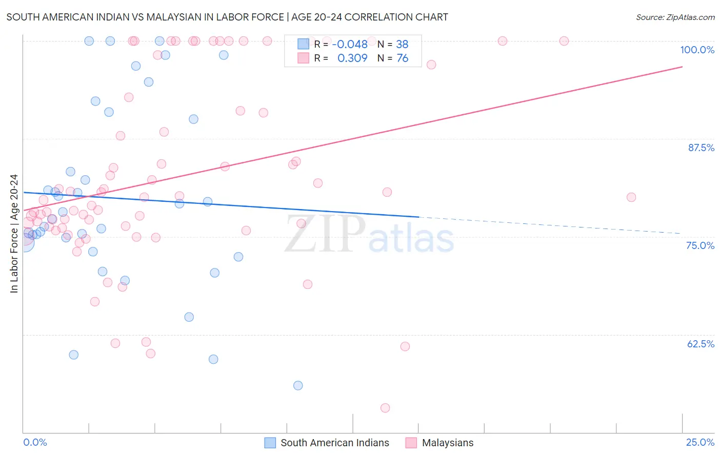 South American Indian vs Malaysian In Labor Force | Age 20-24