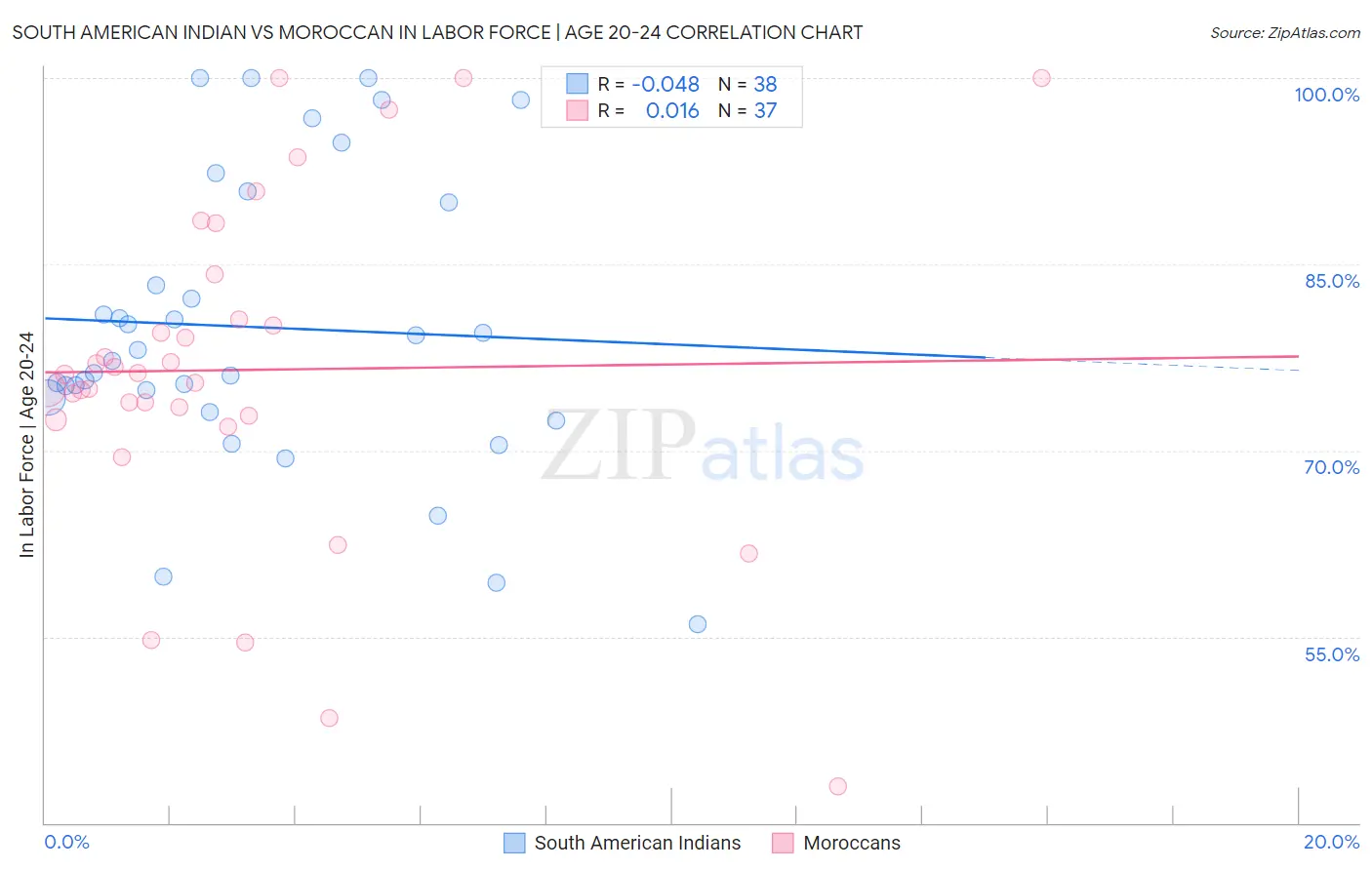 South American Indian vs Moroccan In Labor Force | Age 20-24