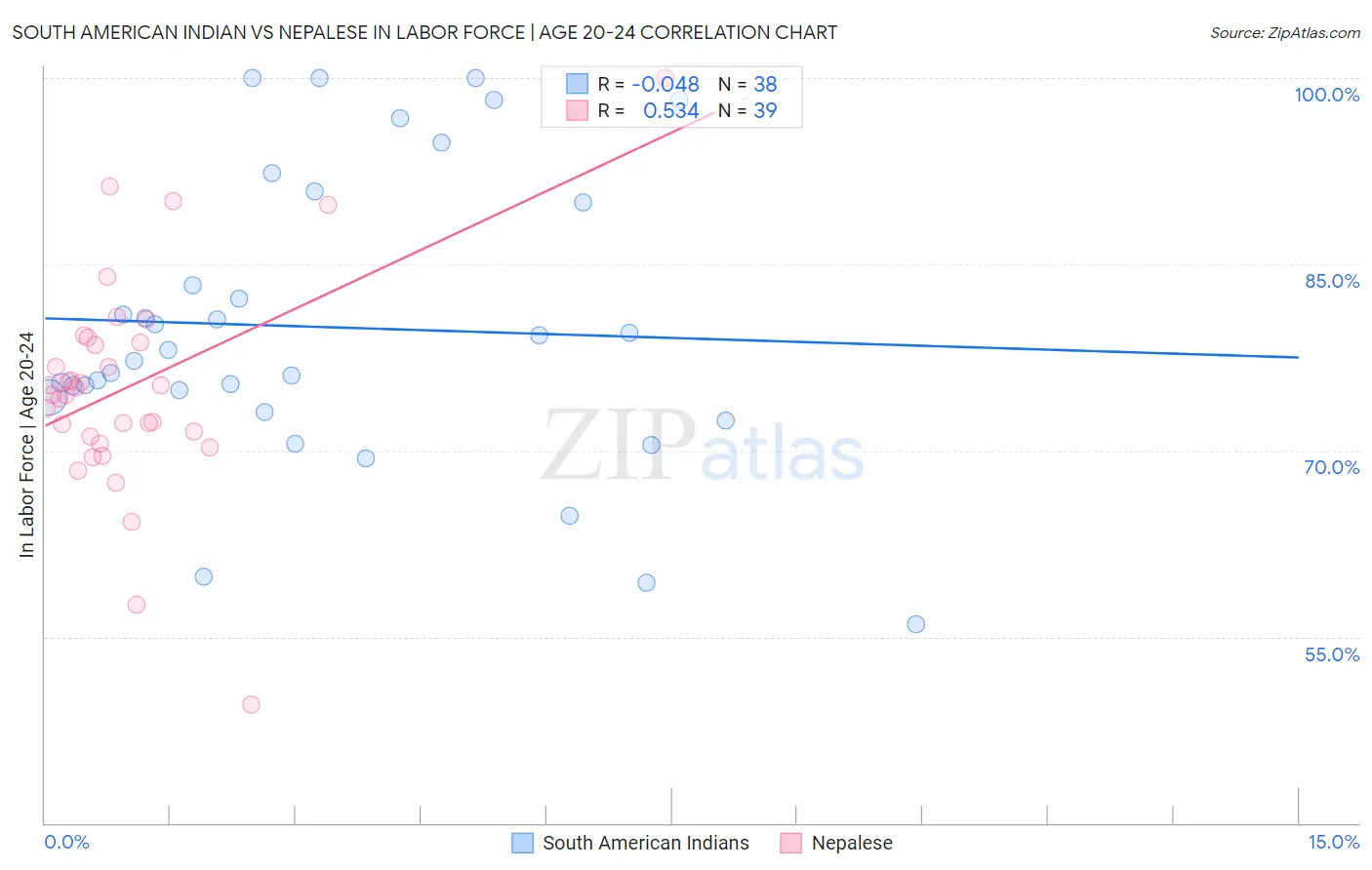 South American Indian vs Nepalese In Labor Force | Age 20-24
