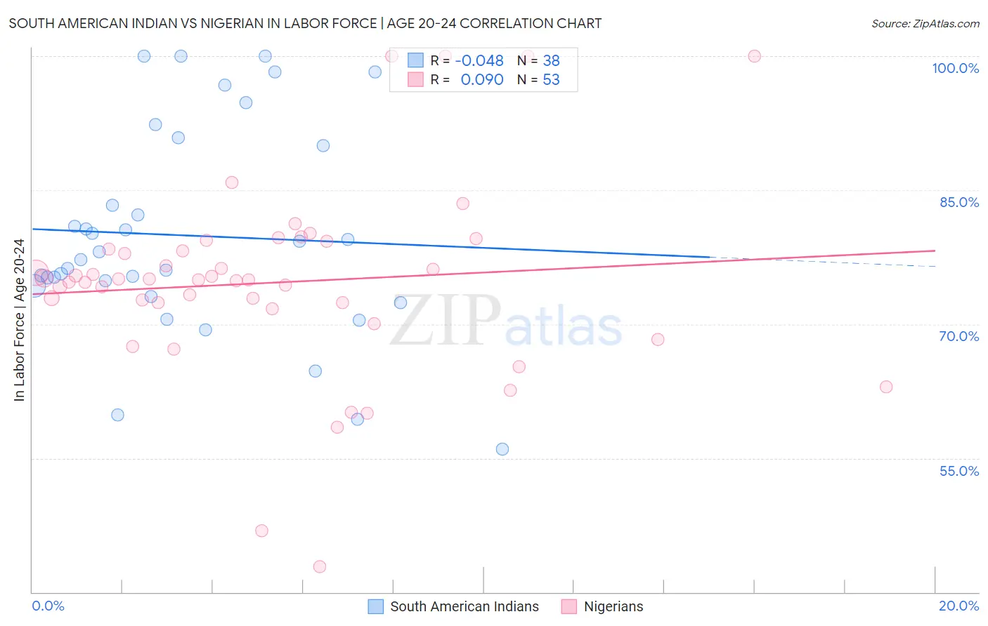 South American Indian vs Nigerian In Labor Force | Age 20-24