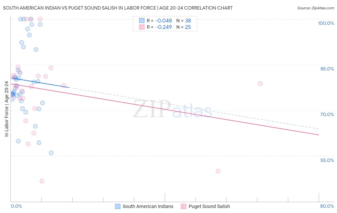 South American Indian vs Puget Sound Salish In Labor Force | Age 20-24