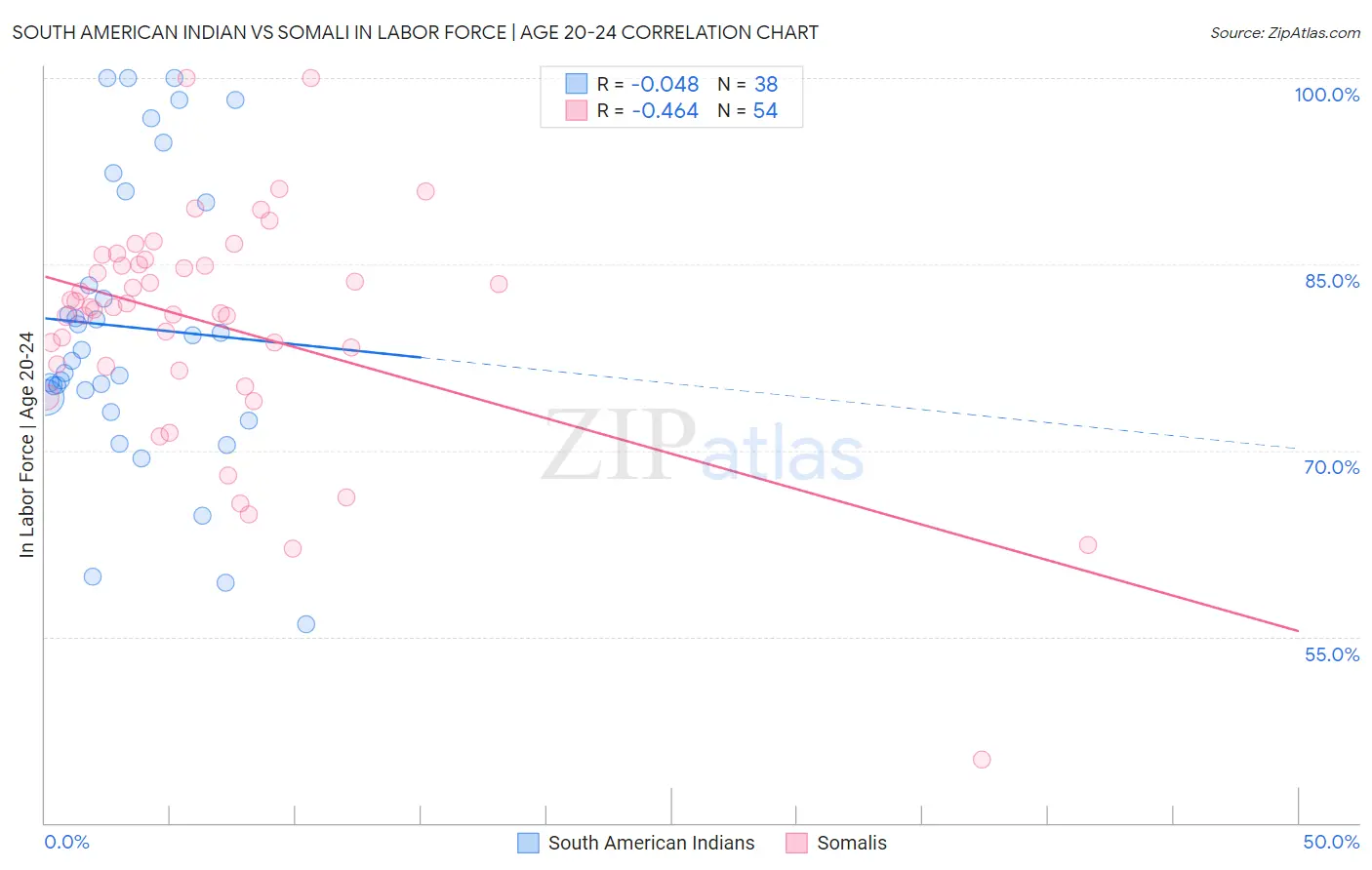 South American Indian vs Somali In Labor Force | Age 20-24