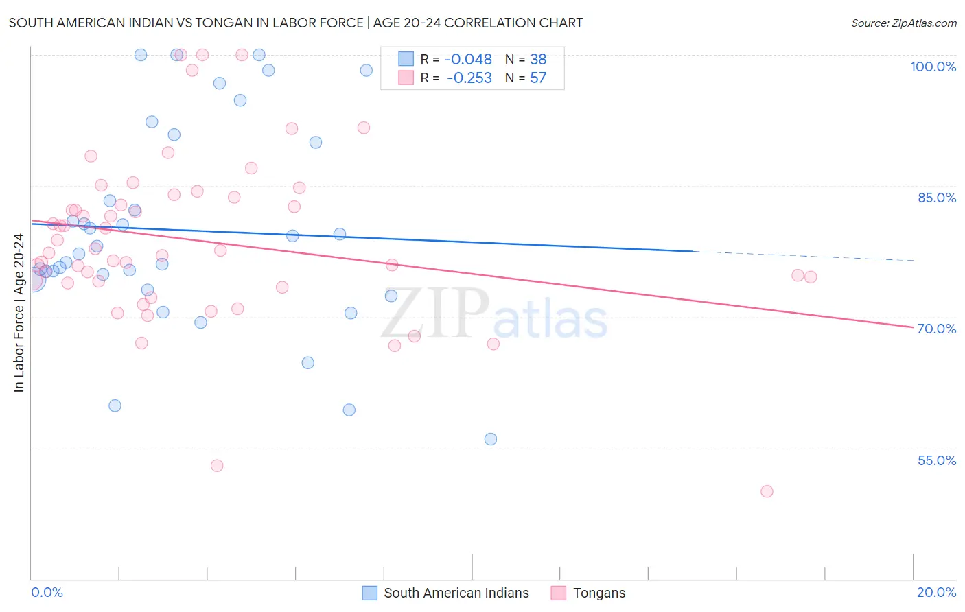 South American Indian vs Tongan In Labor Force | Age 20-24