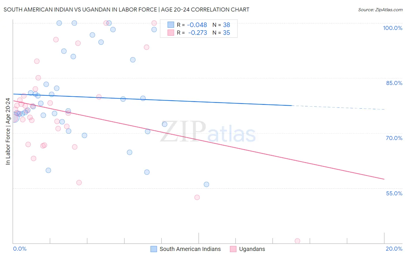 South American Indian vs Ugandan In Labor Force | Age 20-24
