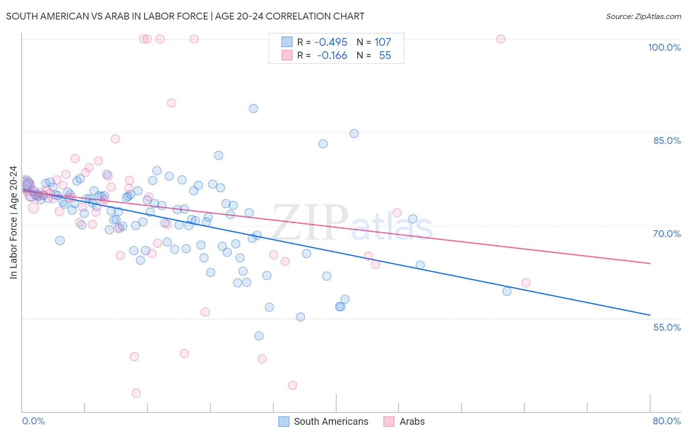South American vs Arab In Labor Force | Age 20-24