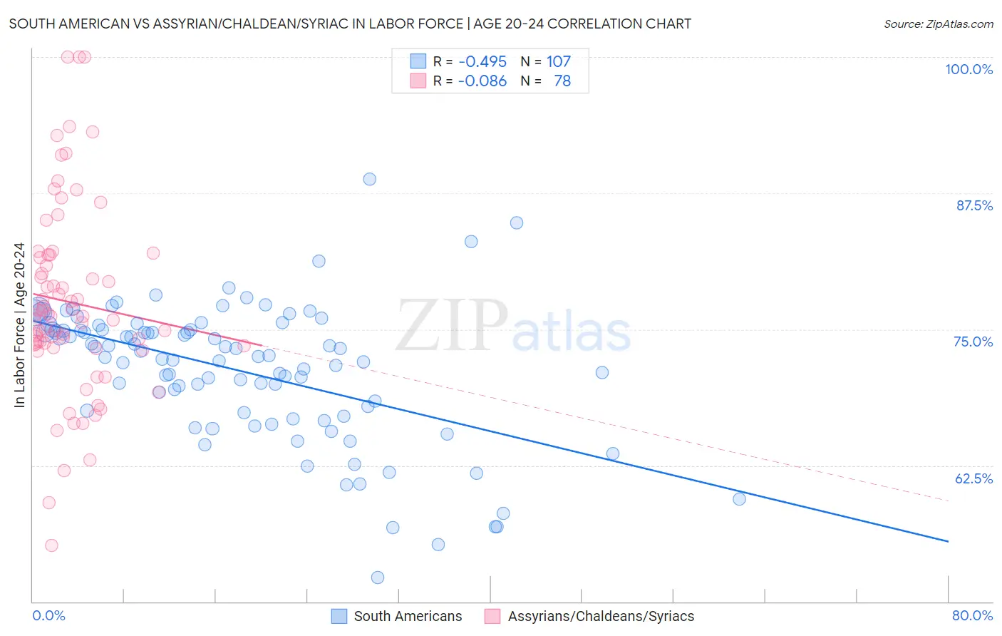 South American vs Assyrian/Chaldean/Syriac In Labor Force | Age 20-24