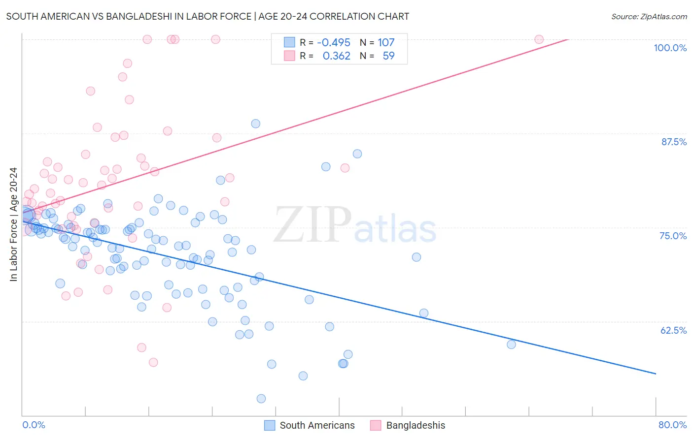 South American vs Bangladeshi In Labor Force | Age 20-24