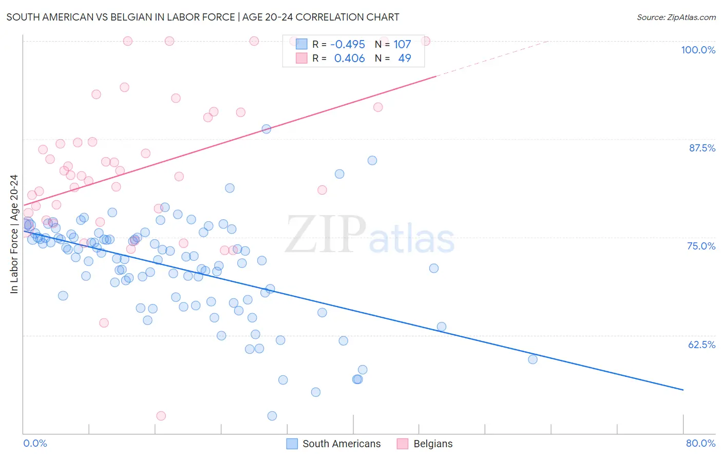 South American vs Belgian In Labor Force | Age 20-24