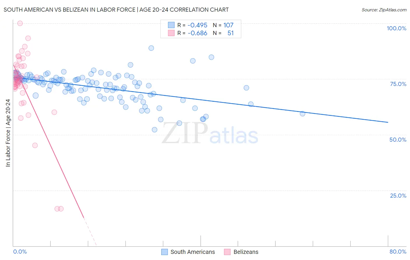 South American vs Belizean In Labor Force | Age 20-24