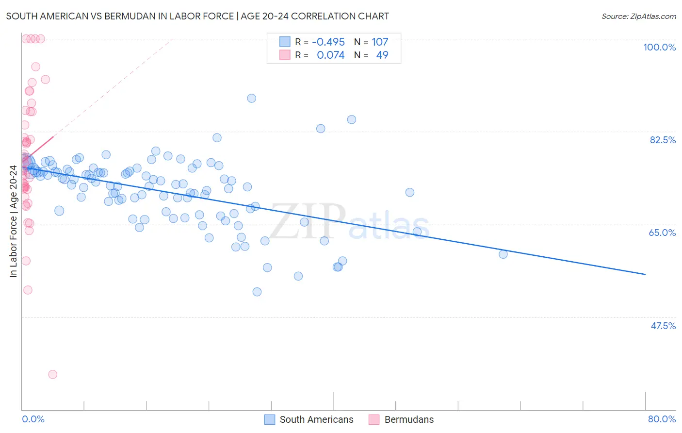 South American vs Bermudan In Labor Force | Age 20-24