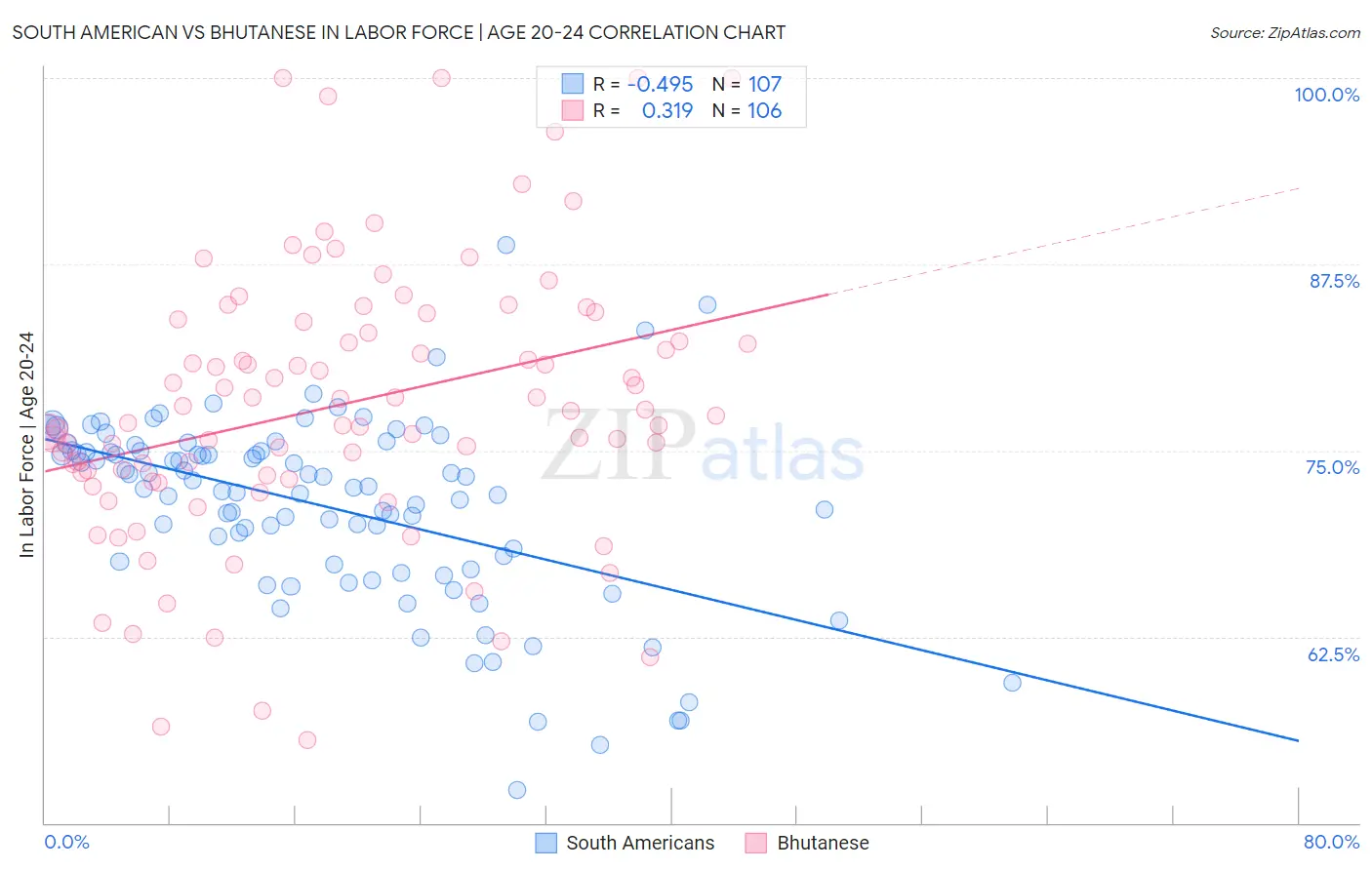 South American vs Bhutanese In Labor Force | Age 20-24