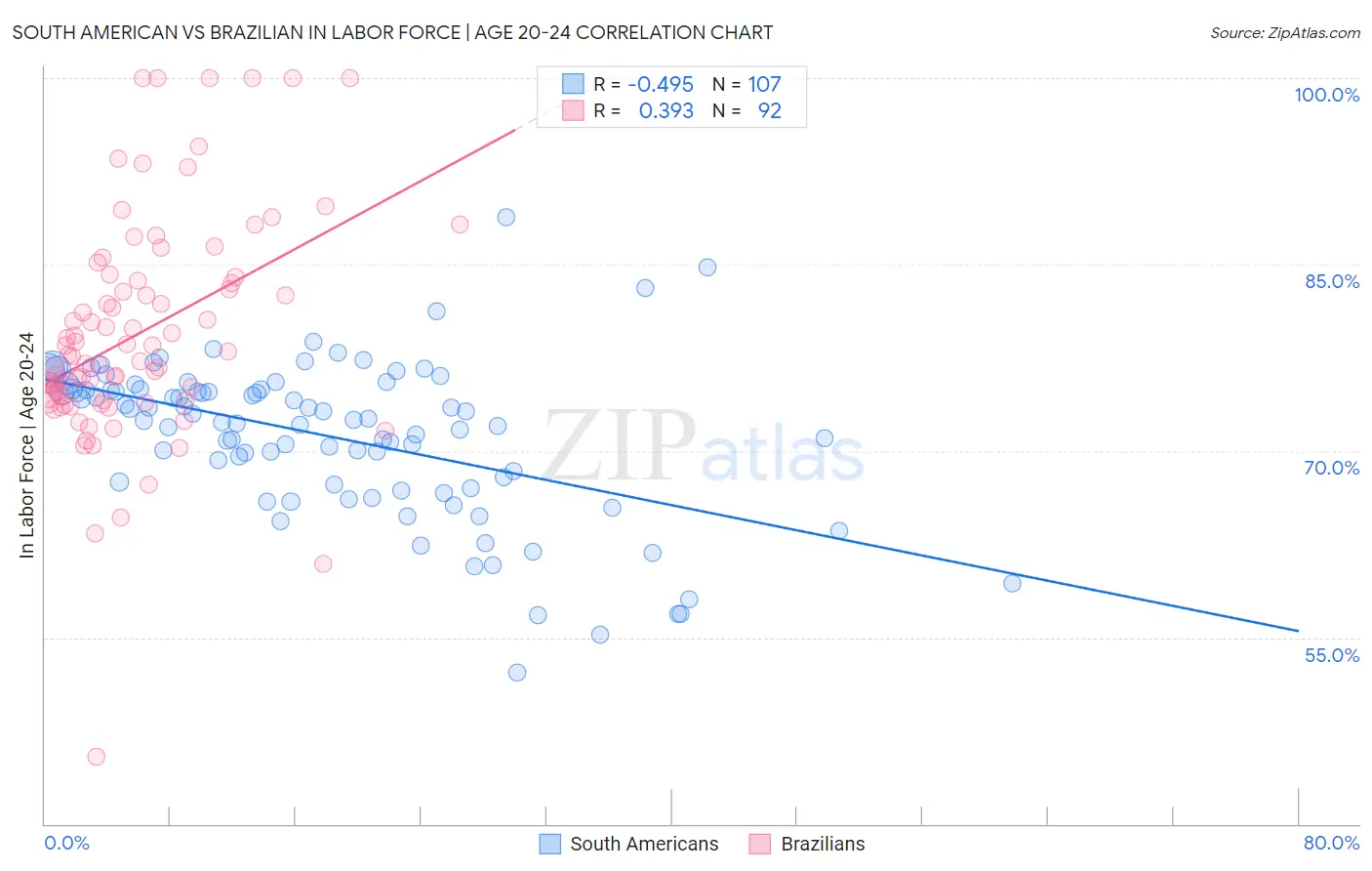 South American vs Brazilian In Labor Force | Age 20-24