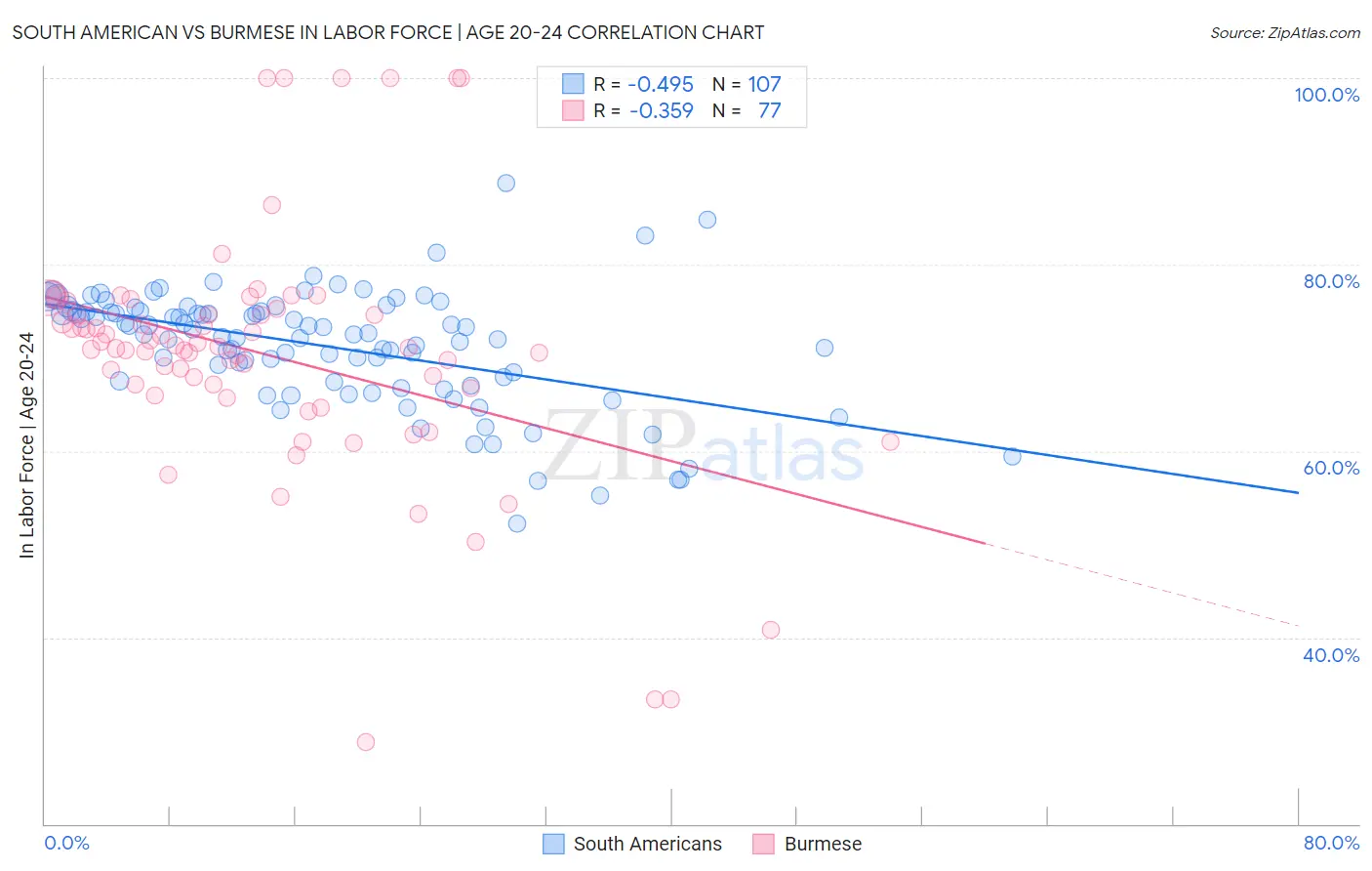South American vs Burmese In Labor Force | Age 20-24