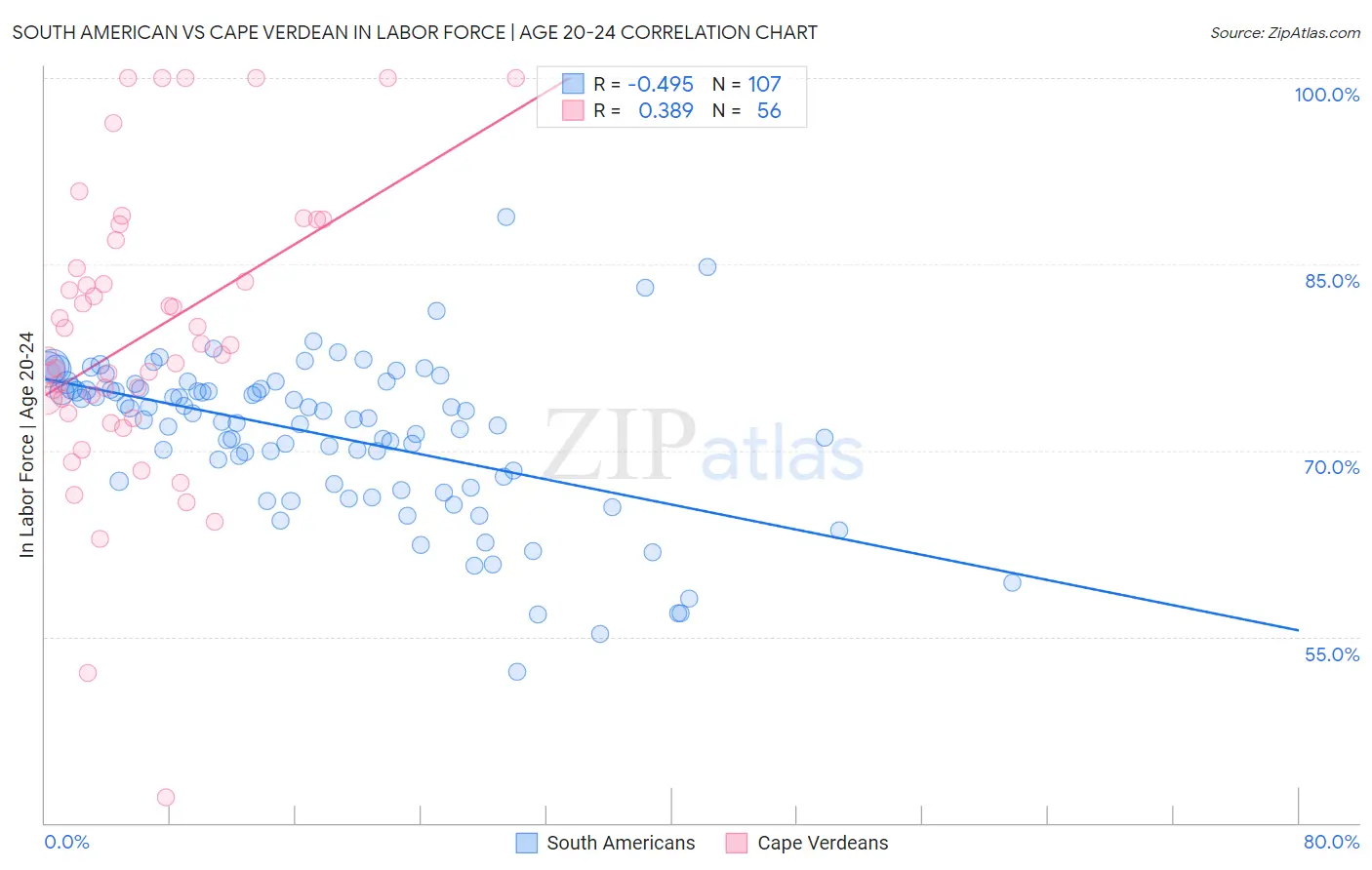 South American vs Cape Verdean In Labor Force | Age 20-24