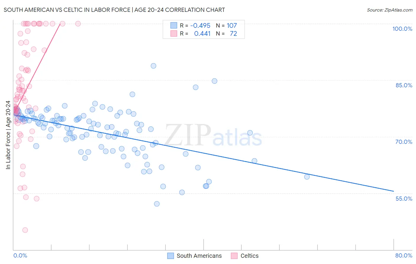 South American vs Celtic In Labor Force | Age 20-24