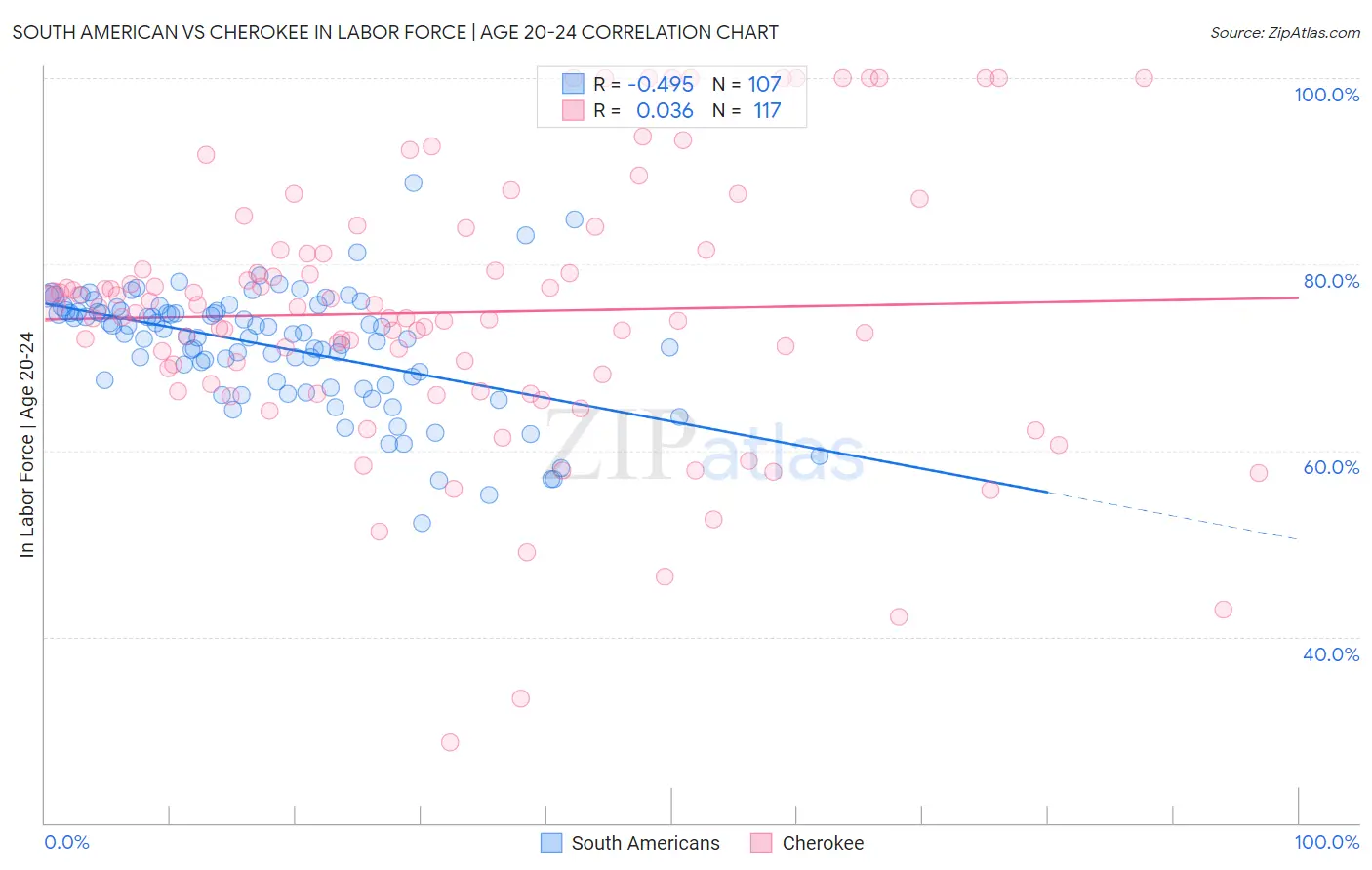 South American vs Cherokee In Labor Force | Age 20-24