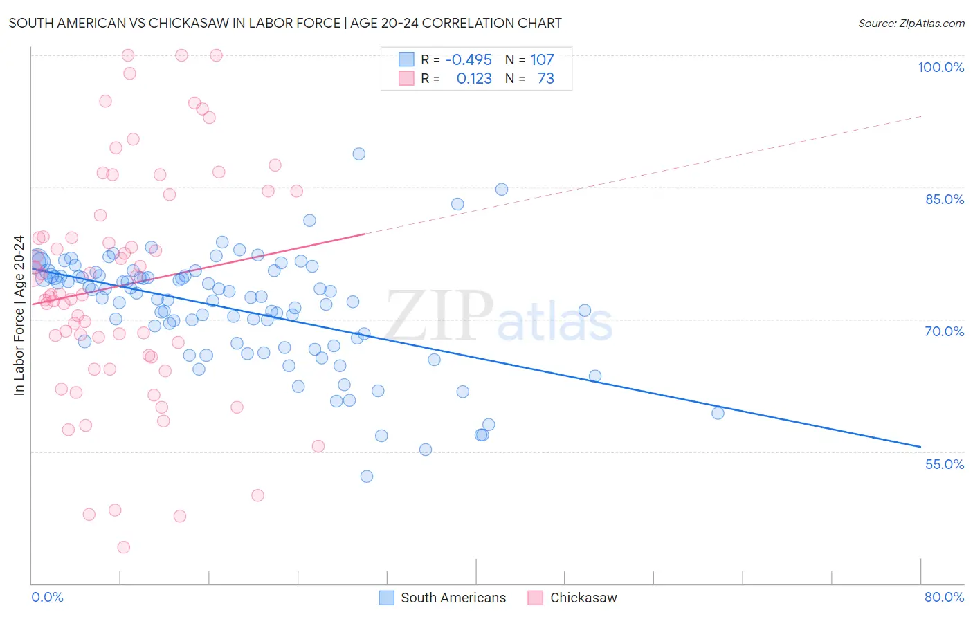South American vs Chickasaw In Labor Force | Age 20-24