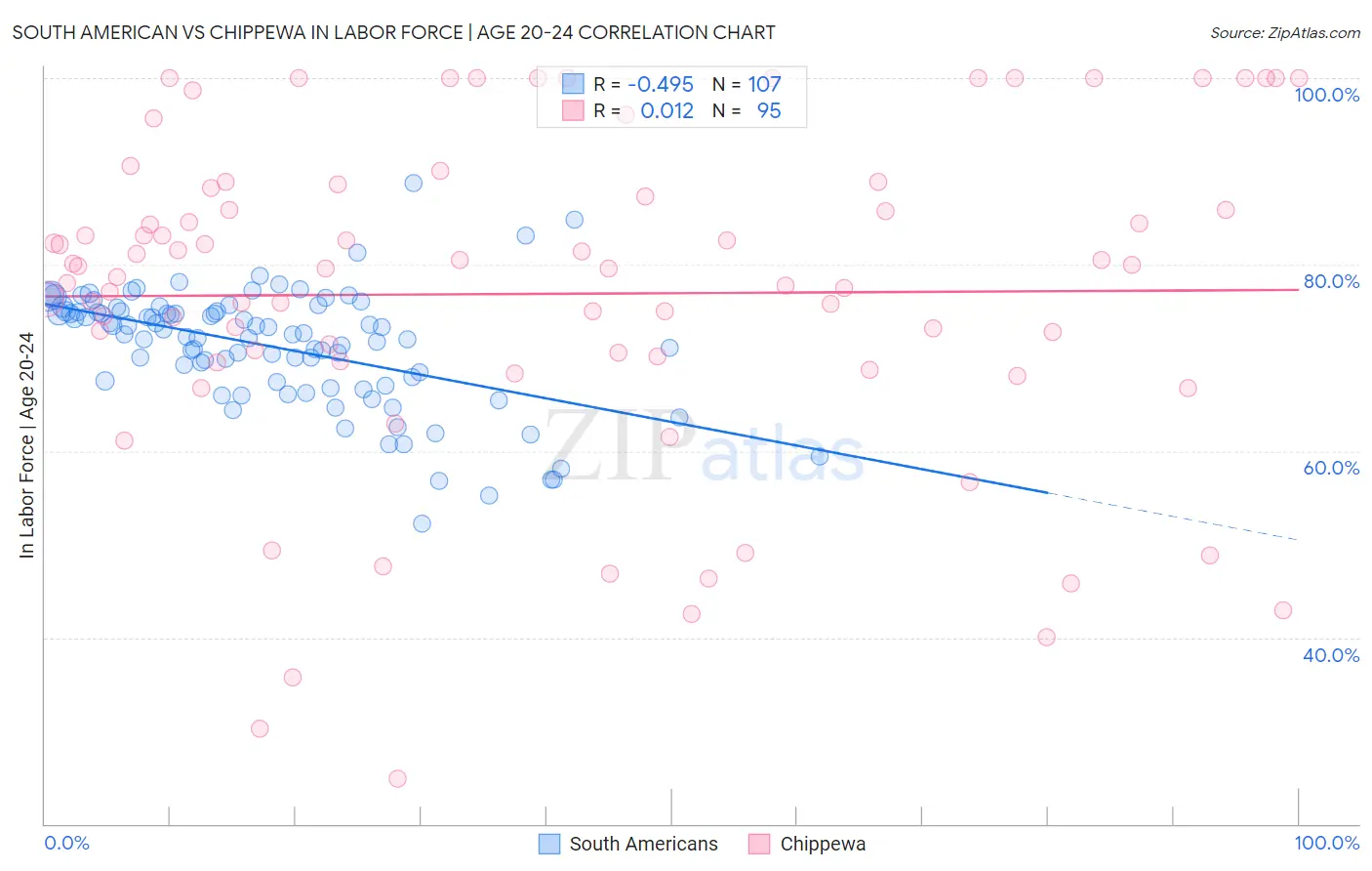 South American vs Chippewa In Labor Force | Age 20-24