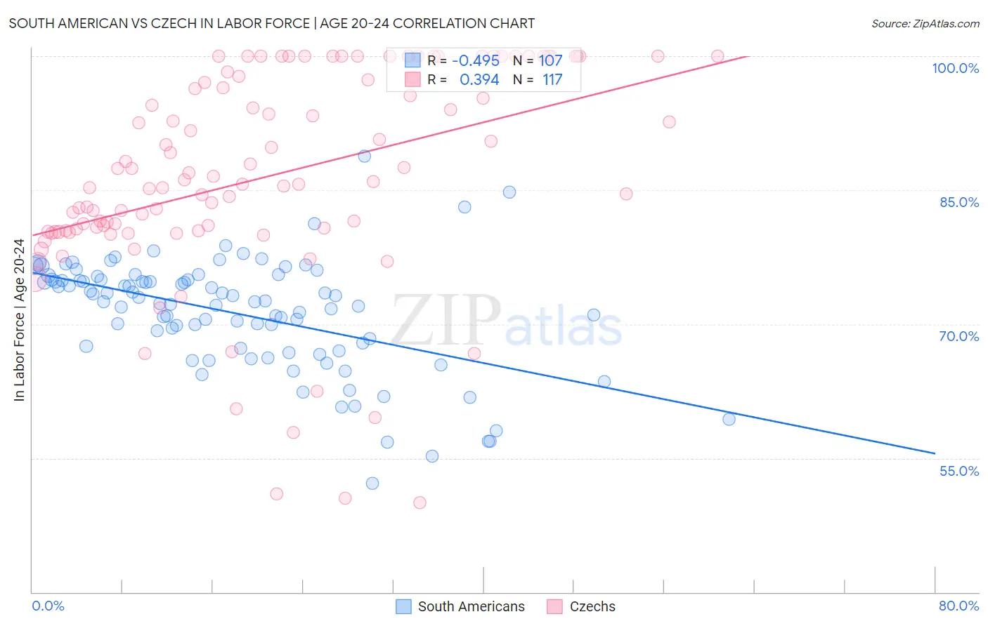South American vs Czech In Labor Force | Age 20-24