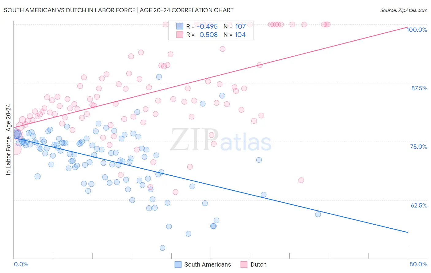 South American vs Dutch In Labor Force | Age 20-24