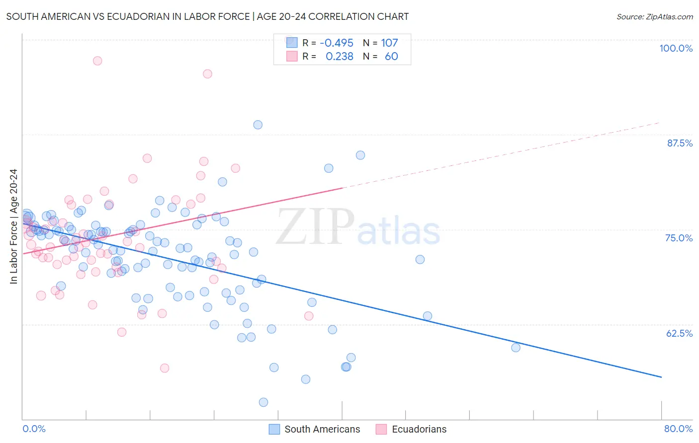 South American vs Ecuadorian In Labor Force | Age 20-24