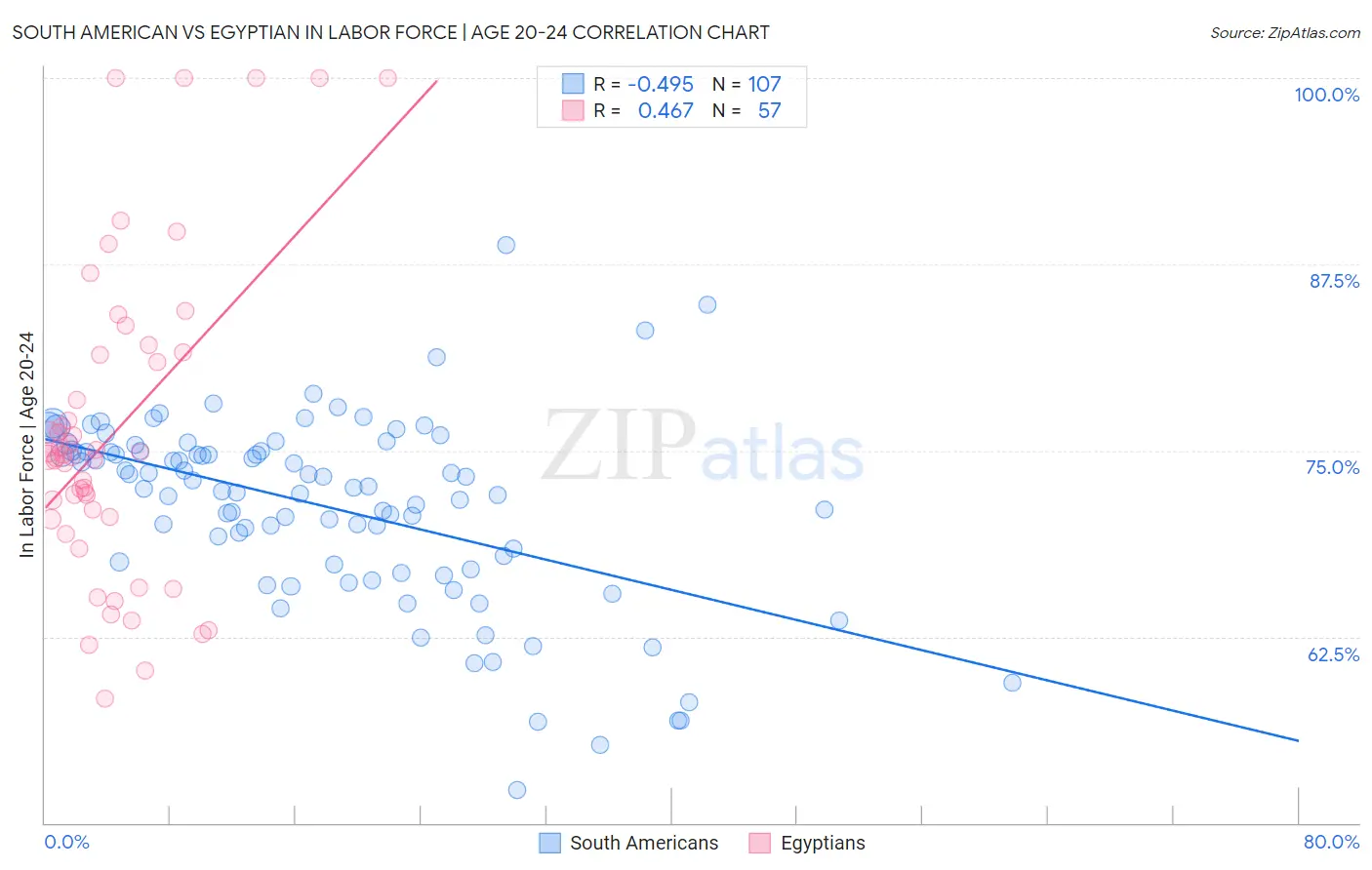 South American vs Egyptian In Labor Force | Age 20-24