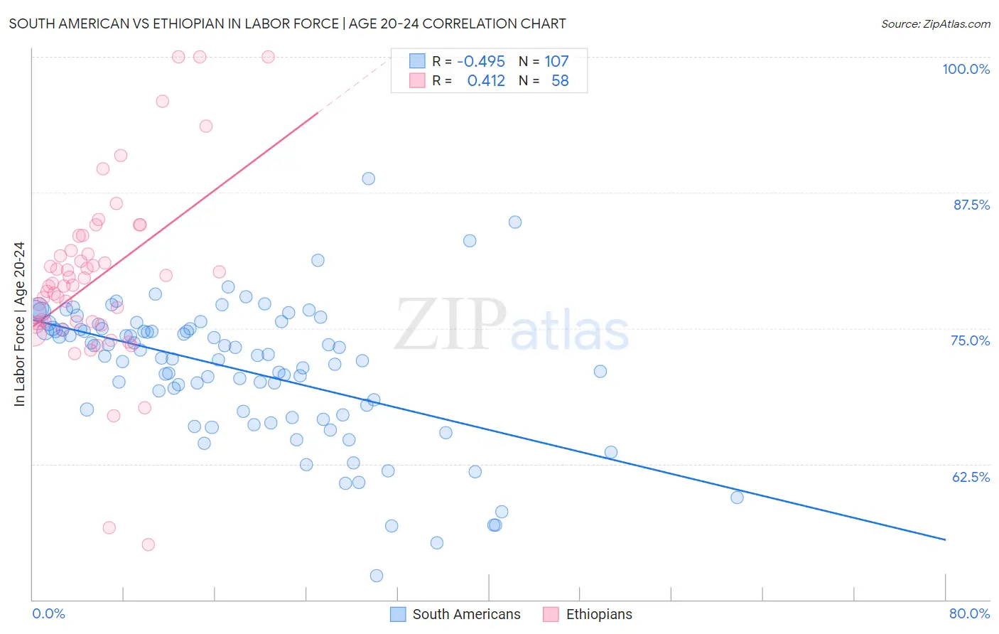 South American vs Ethiopian In Labor Force | Age 20-24