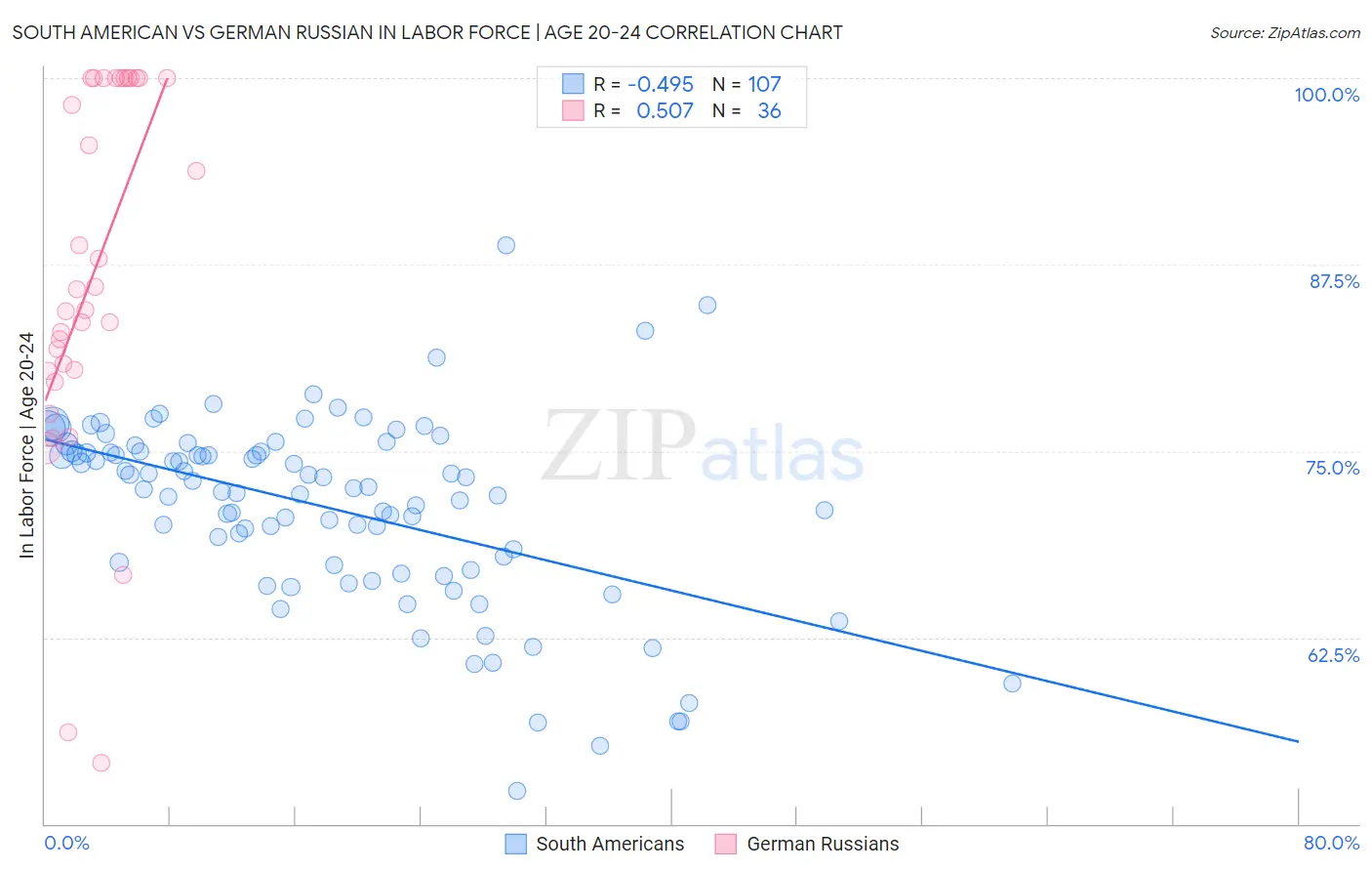 South American vs German Russian In Labor Force | Age 20-24