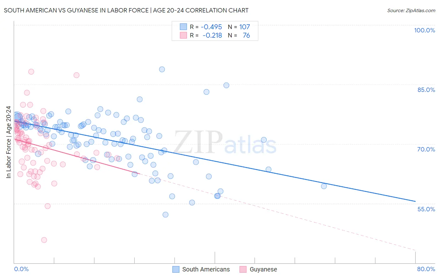 South American vs Guyanese In Labor Force | Age 20-24