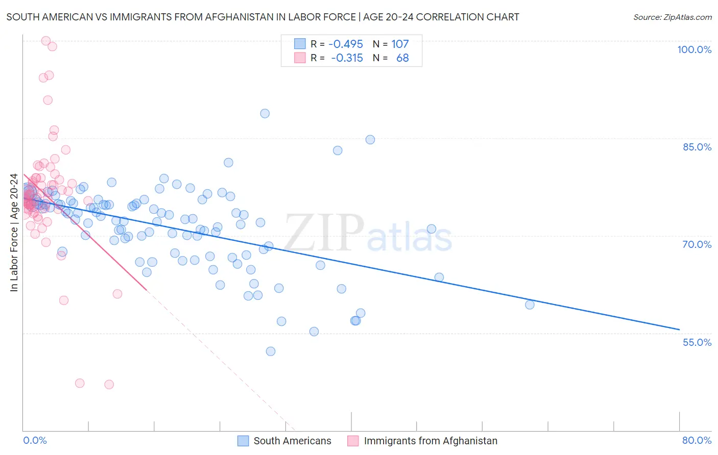 South American vs Immigrants from Afghanistan In Labor Force | Age 20-24