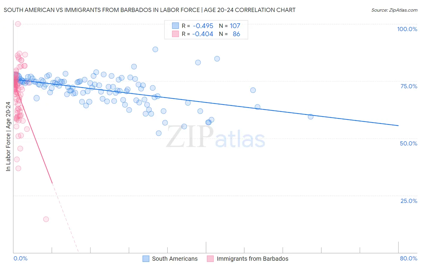 South American vs Immigrants from Barbados In Labor Force | Age 20-24