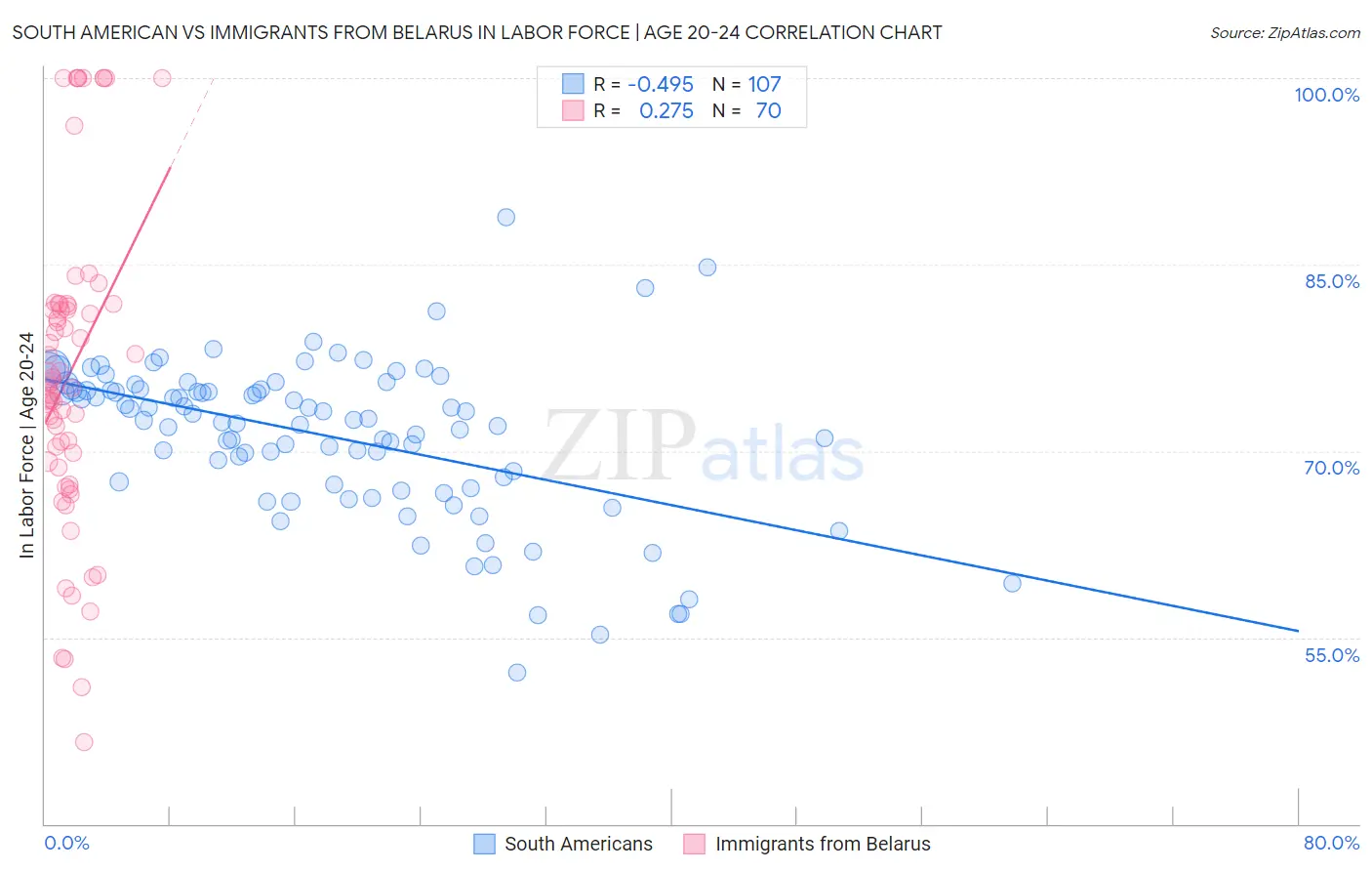 South American vs Immigrants from Belarus In Labor Force | Age 20-24