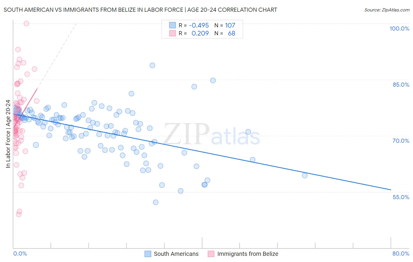 South American vs Immigrants from Belize In Labor Force | Age 20-24
