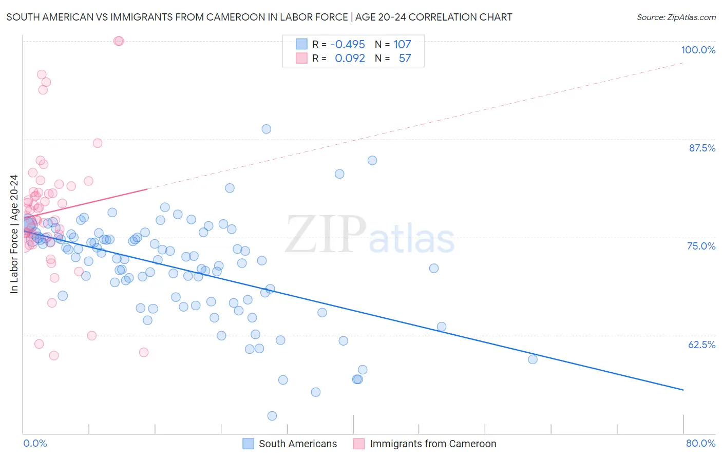 South American vs Immigrants from Cameroon In Labor Force | Age 20-24
