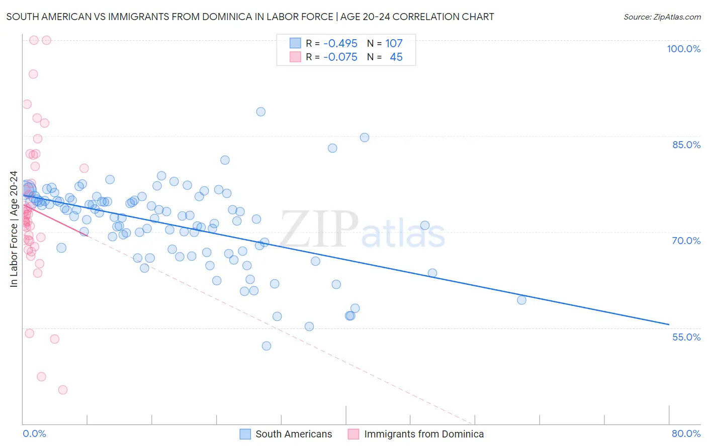 South American vs Immigrants from Dominica In Labor Force | Age 20-24