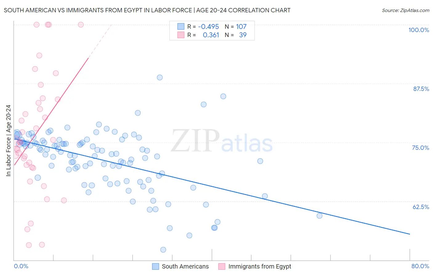 South American vs Immigrants from Egypt In Labor Force | Age 20-24
