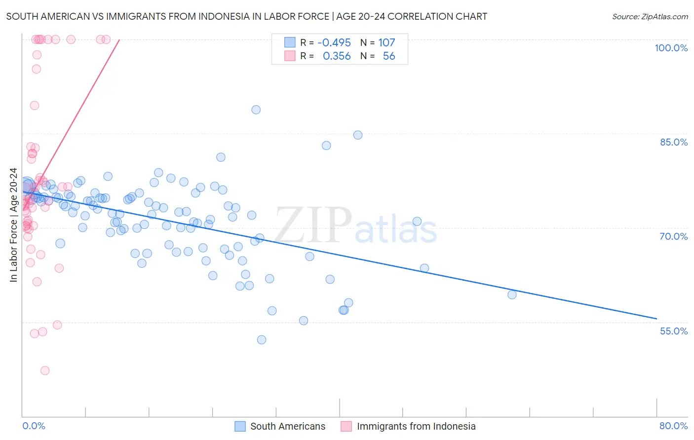 South American vs Immigrants from Indonesia In Labor Force | Age 20-24